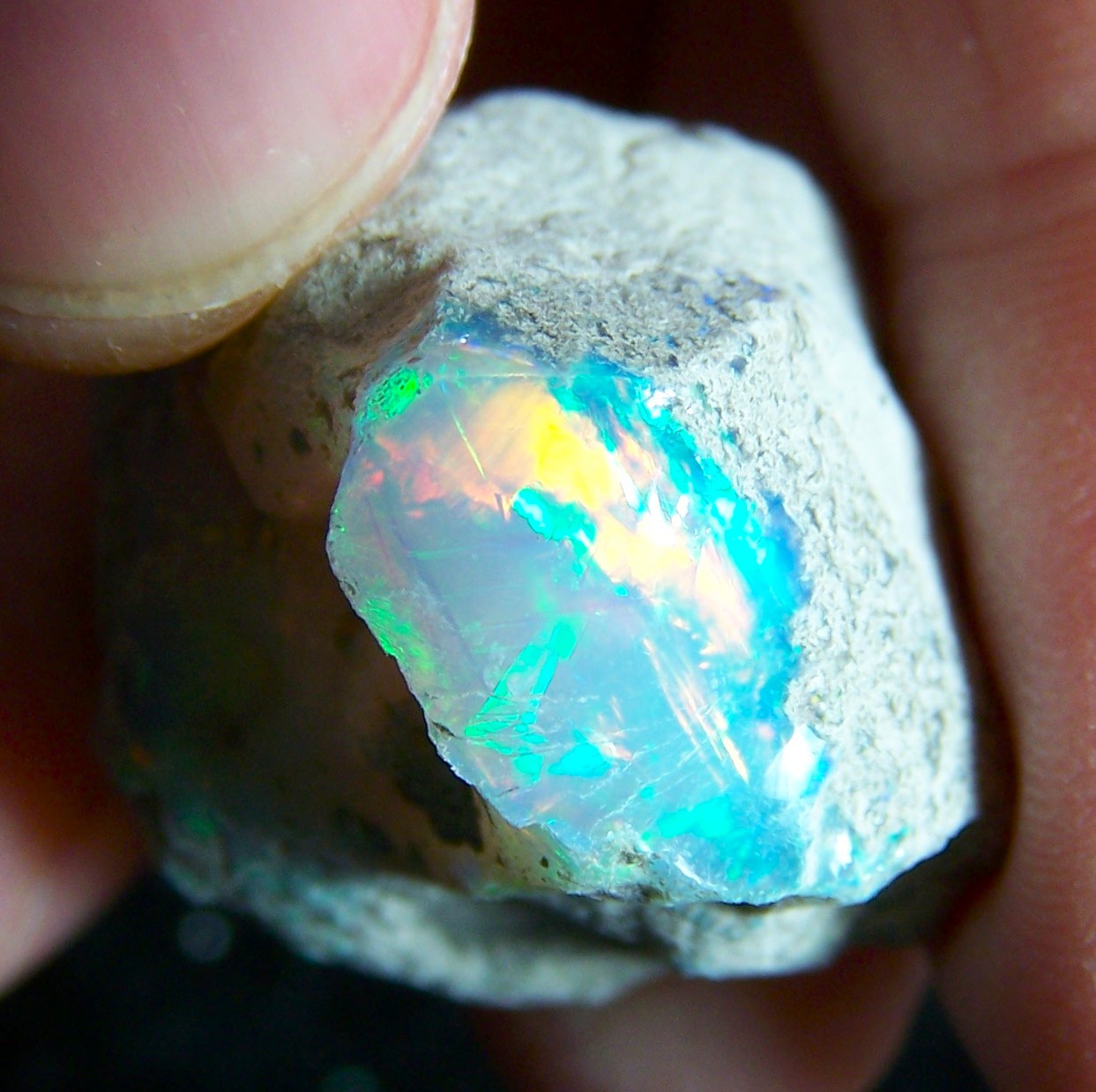 Global Prospecting - Premium Opals & Gemstones